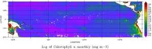 Chlorophyll-a map