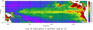 Chlorophyll-a map